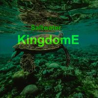 Produktbild: Saltwater KingdomE