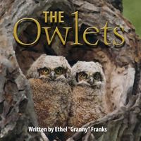 Produktbild: The Owlets