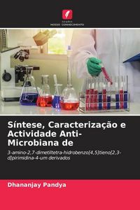 Produktbild: S&iacute;ntese, Caracteriza&ccedil;&atilde;o e Actividade Anti-Microbiana de