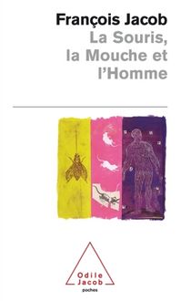 Produktbild: La souris, la mouche et l'homme