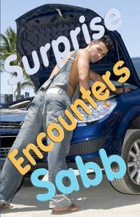 Produktbild: Surprise Encounters: A Gay Erotica Anthology