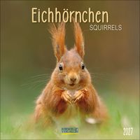 Produktbild: Eichh&ouml;rnchen 2027