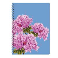Produktbild: Ringbuch A4 Azalee