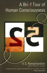 Produktbild: A Brief Tour of Human Consciousness