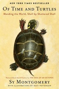 Produktbild: Montgomery, S: Of Time and Turtles