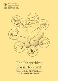 Produktbild: The Platyrrhine Fossil Record