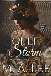 Produktbild: Gulf Storm - Courting Trouble 3 (Into Death, #11)