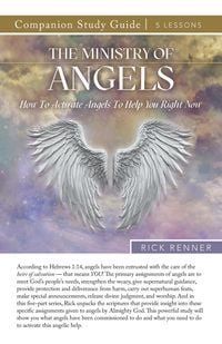 Produktbild: The Ministry of Angels Study Guide