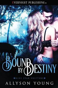 Produktbild: Bound by Destiny