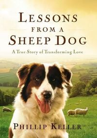 Produktbild: Lessons from a Sheep Dog