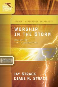 Produktbild: The Worship in the Storm