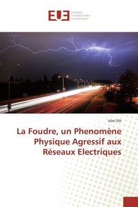 Produktbild: La Foudre, un Phenom&egrave;ne Physique Agressif aux R&eacute;seaux Electriques