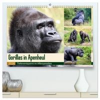 Produktbild: Flachlandgorillas in Apenheul (hochwertiger Premium Wandkalender 2026 DIN A2 quer), Kunstdruck in Hochglanz
