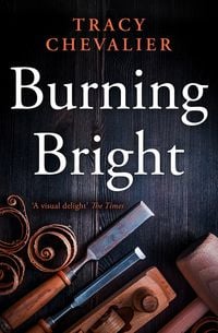 Produktbild: Burning Bright