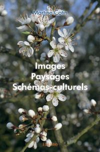 Produktbild: Images, paysages, schemas-culturels