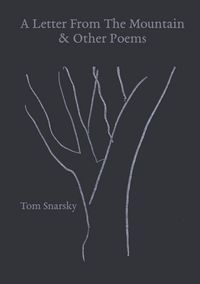 Produktbild: A Letter From The Mountain & Other Poems