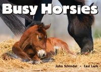 Produktbild: Schindel, J: Busy Horsies