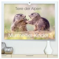 Produktbild: Tiere der Alpen - Murmeltier-Kinder (hochwertiger Premium Wandkalender 2026 DIN A2 quer), Kunstdruck in Hochglanz