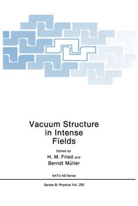 Produktbild: Vacuum Structure in Intense Fields