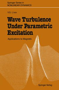 Produktbild: Wave Turbulence Under Parametric Excitation