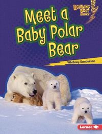 Produktbild: Meet a Baby Polar Bear