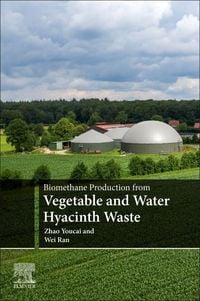 Produktbild: Biomethane Prod from Vegetable