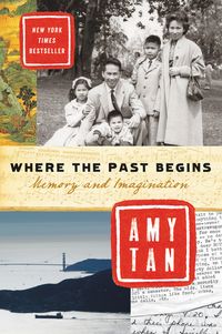 Produktbild: Where the Past Begins