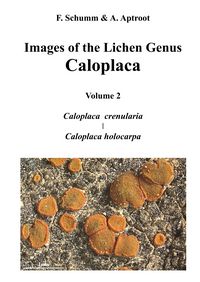 Produktbild: Images of the Lichen Genus Caloplaca, Vol 2