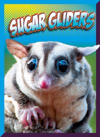 Produktbild: Sugar Gliders