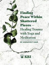 Produktbild: Finding Peace Within Shattered Pieces