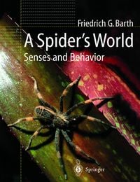 Produktbild: A Spider&rsquo;s World