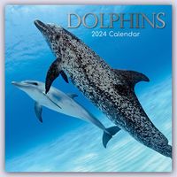 Bild vom Artikel Dolphins – Delfine – Delphine 2024 – 16-Monatskalender vom Autor The Gifted Stationery Co. Ltd