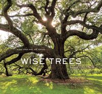 Produktbild: Wise Trees