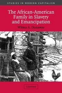 Produktbild: The African-American Family in Slavery and Emancipation