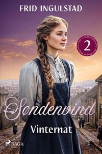 Produktbild: Vinternat - S&oslash;ndenvind 2