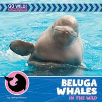 Produktbild: Beluga Whales in the Wild