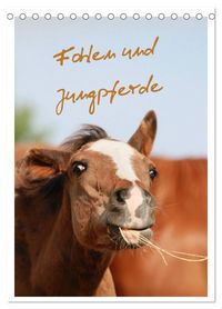 Produktbild: Fohlen und Jungpferde (Tischkalender 2027 DIN A5 hoch), CALVENDO Monatskalender