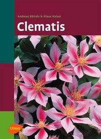 Produktbild: Clematis