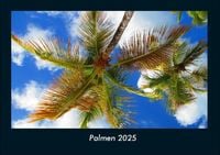 Produktbild: Palmen 2025 Fotokalender DIN A4