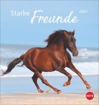 Produktbild: Pferde Postkartenkalender 2027 - Starke Freunde