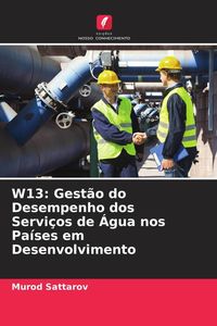 Produktbild: W13: Gest&atilde;o do Desempenho dos Servi&ccedil;os de &Aacute;gua nos Pa&iacute;ses em Desenvolvimento