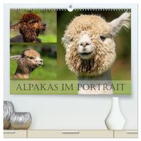 Produktbild: Alpakas im Portrait (hochwertiger Premium Wandkalender 2026 DIN A2 quer), Kunstdruck in Hochglanz