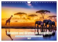 Produktbild: Elefanten und Giraffen im Abendlicht (Wandkalender 2027 DIN A4 quer), CALVENDO Monatskalender