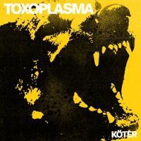 Bild vom Artikel Köter vom Autor Toxoplasma
