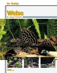 Produktbild: Welse