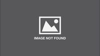 Produktbild: Illustoria: Cats & Dogs