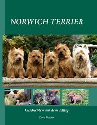 Produktbild: Norwich Terrier