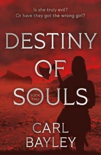 Produktbild: Destiny of Souls