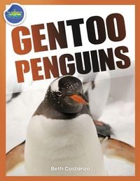 Produktbild: Gentoo Penguins activity workbook ages 4-8