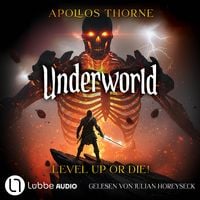 Produktbild: Level up or die!